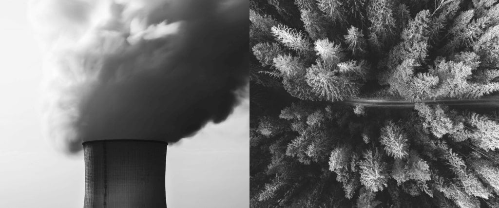 Greenwashing in fashion: what it is and how to spot it