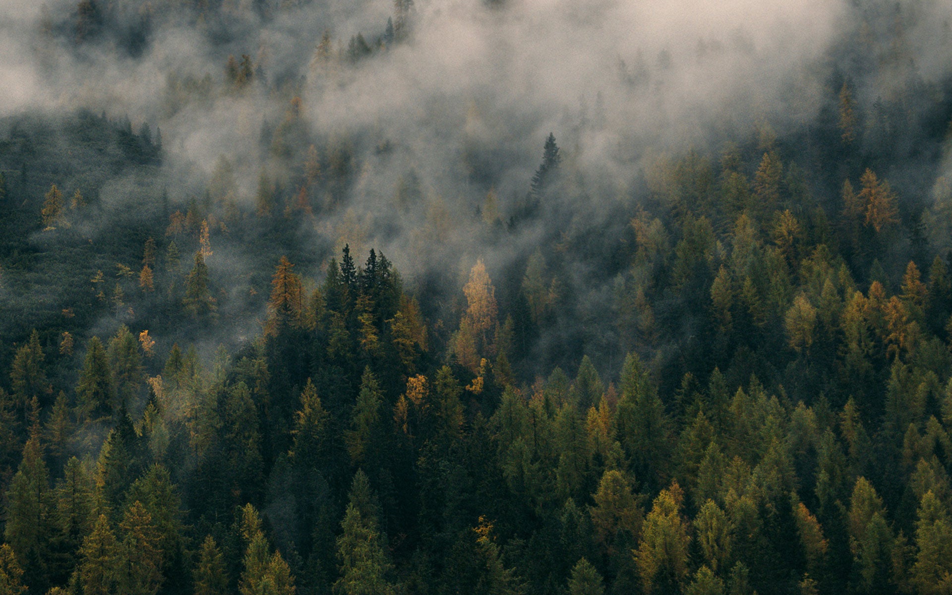 SANVT ist B-Corp-zertifiziert